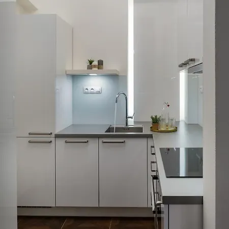 Days - Elegant Open-plan In Old Town 公寓 布拉格